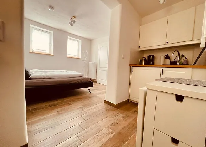 Mey Haus Zum Rosenstock Apartamento Erfurt